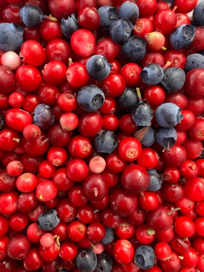 Ferienhaus Småland Fågelfors Eksteriør bilde